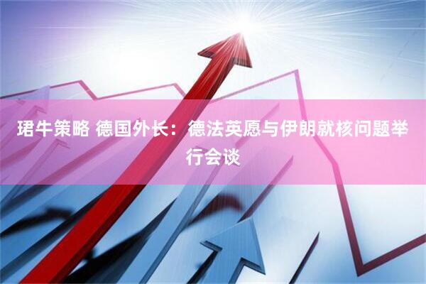 珺牛策略 德国外长：德法英愿与伊朗就核问题举行会谈