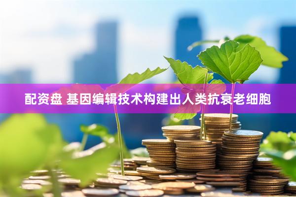配资盘 基因编辑技术构建出人类抗衰老细胞