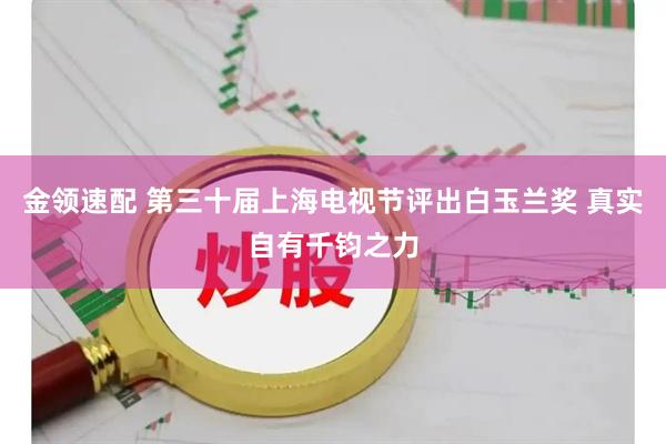 金领速配 第三十届上海电视节评出白玉兰奖 真实自有千钧之力