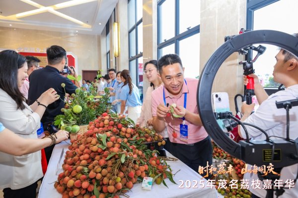 掌上策略 一颗荔枝如何撬动百亿产业？茂名给出答案