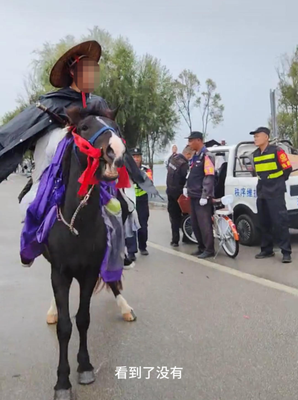 财富加 “他打我的马！”网红骑马硬闯洱海生态廊道，与多名保安发生冲突